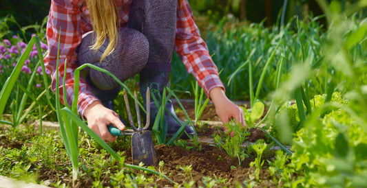 How to Identify Garden Weeds in New Zealand