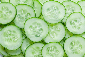 Growing Cucumbers in New Zealand – Kings Seeds