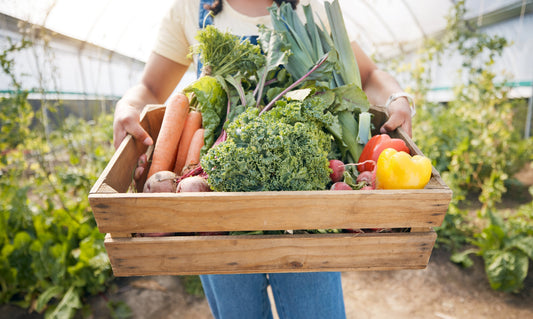 Grow Your Own Food in NZ - Beginner’s Guide to Food Security