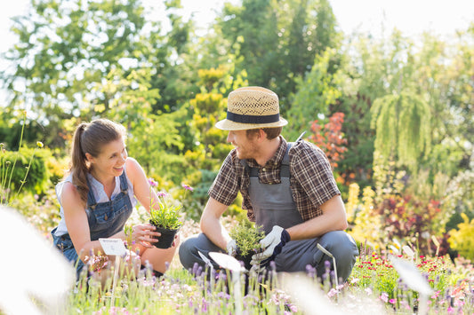 What to Plant in Autumn in New Zealand