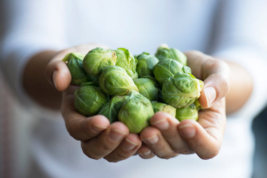 The Best Guide to Growing Brussels Sprouts - Kings Seeds NZ