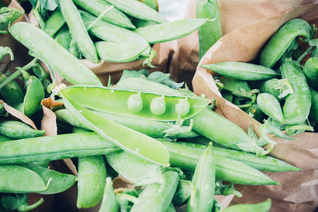 Yes, Peas! Which pea variety is beckoning to you?