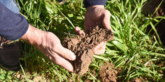 Regenerative Gardening