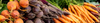 Root Vegetable Seeds