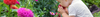 Fragrant Flower Seeds