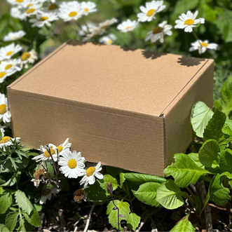 Gift Box Large
