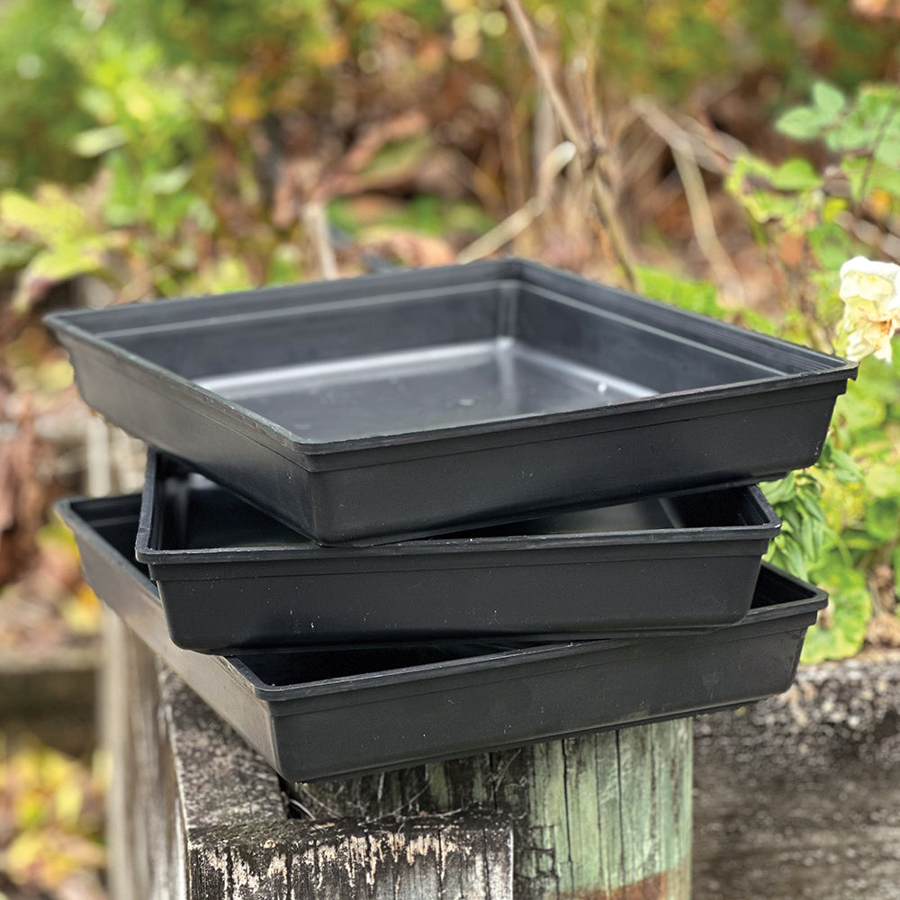 Diffing Tray Buy Dipping Tray by Kings Seeds online - Kings Seeds NZ