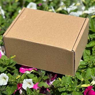 Gift Box Small