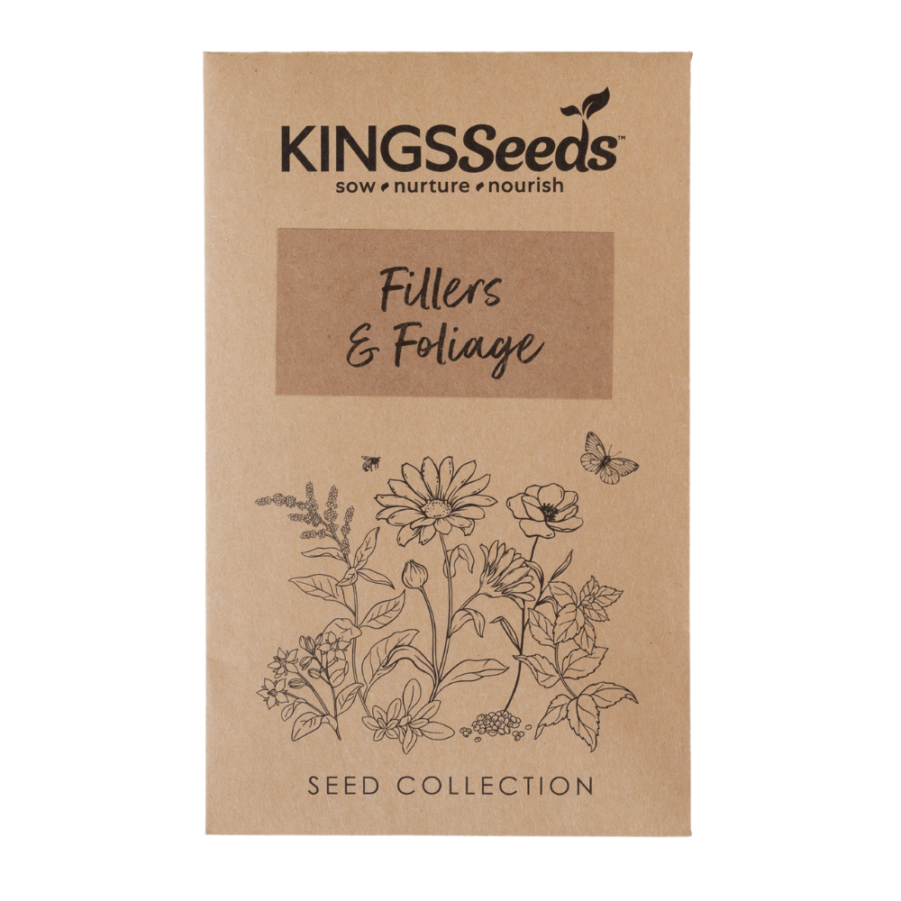 filler flower seeds Buy Filler Flowers by Kings Seeds NZ online