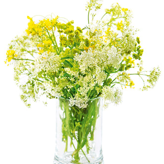 Filler Flowers