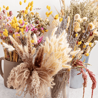 Kings Seeds Flower Flowers for Drying