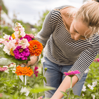 Kings Seeds Flower Vibrant Bouquet