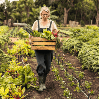 Kings Seeds Organic Organic Autumn Vegetables