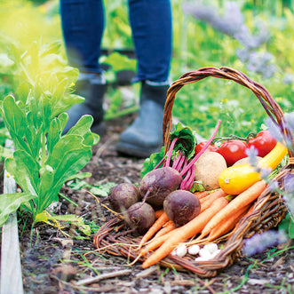 Organic Spring Vegetables