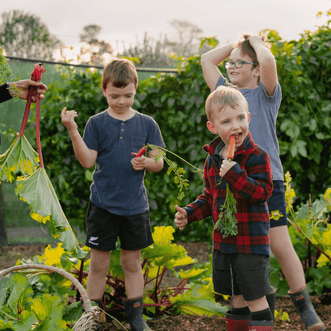 Kings Seeds Vegetables Vegetables for Children