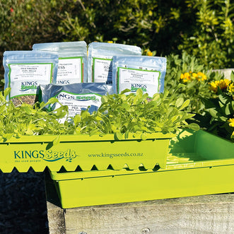 Seed starter kits nz