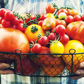 Heirloom Tomatoes