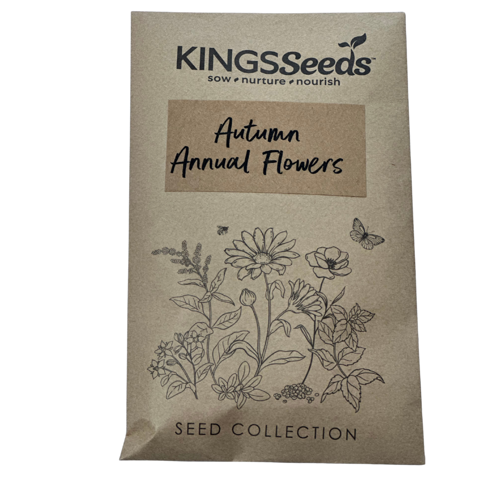 autumn flower seeds Buy Autumn Annual Flowers by Kings Seeds NZ online