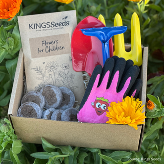 Little Gardeners Flower Garden Kit
