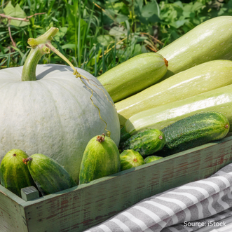 Best of Cucurbits
