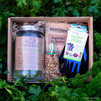 Little Gardeners Get Growing Kit - Vegetables