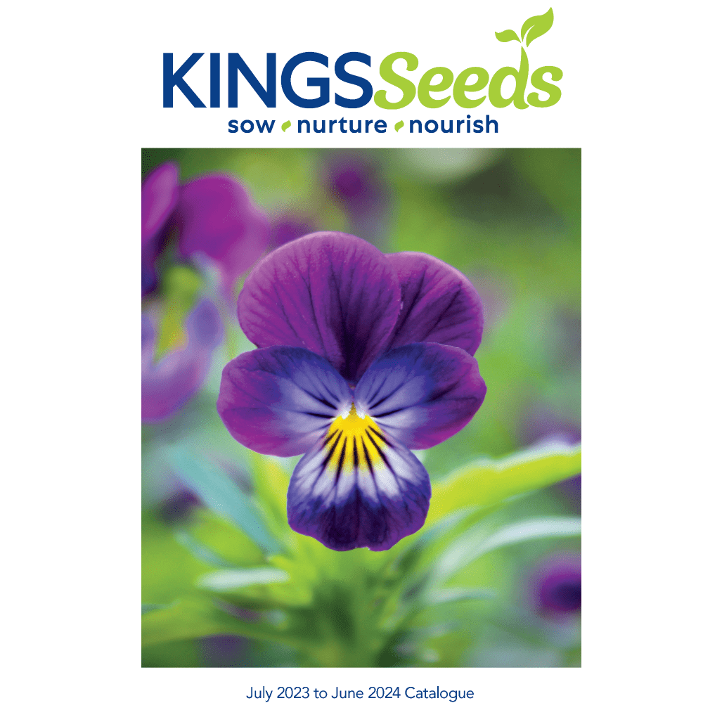 Buy Catalogue by Kings Seeds NZ online Kings Seeds NZ