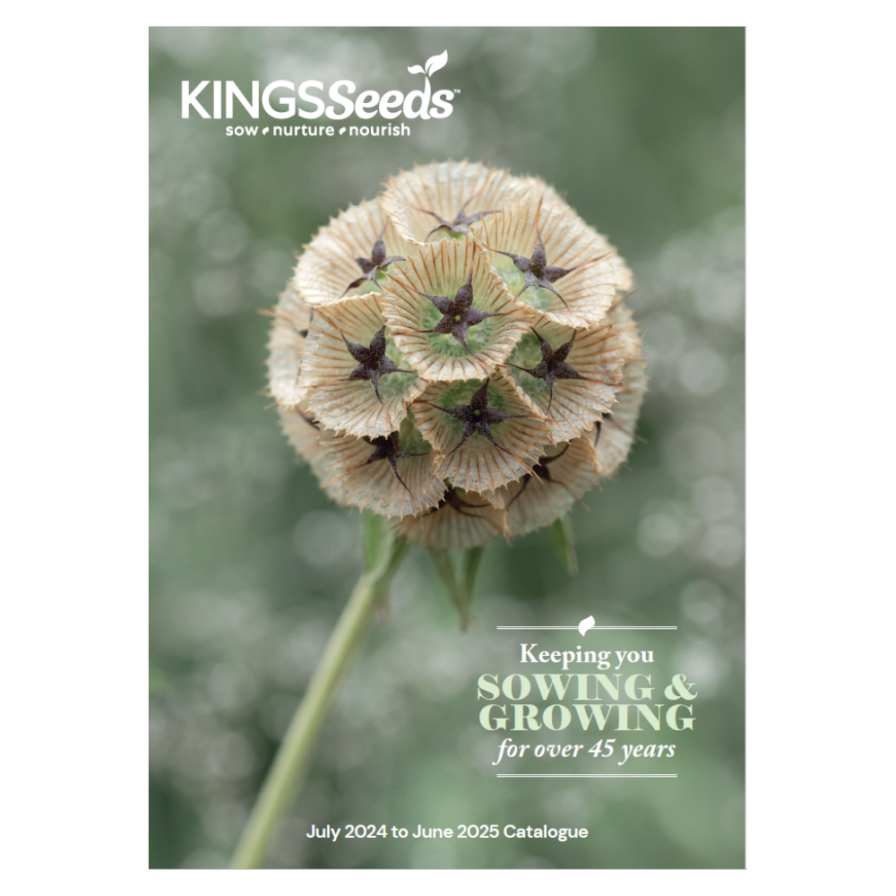 Catalogue Kings Seeds NZ