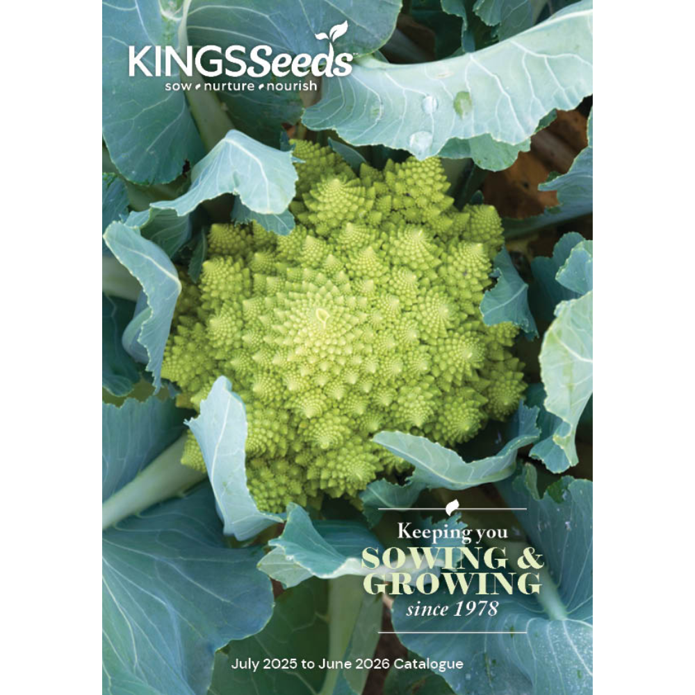 Catalogue Kings Seeds NZ