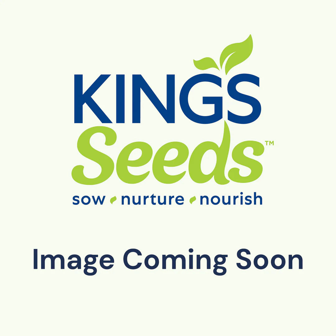 Buy Komatsuna Red by Kings Seeds NZ online Kings Seeds NZ
