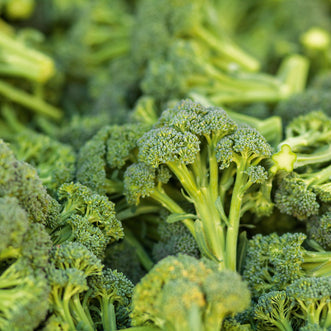 Kings Seeds Organic Organic Broccoli de Cicco