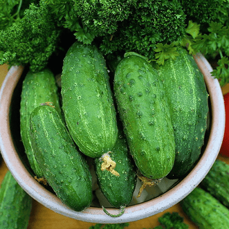 Kings Seeds Organic Organic Cucumber Paris Pickles