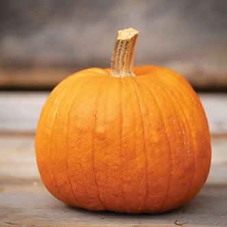 Organic Pumpkin New England Pie