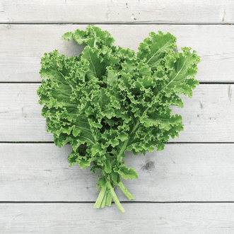Kings Seeds Organic Organic Kale Westerland