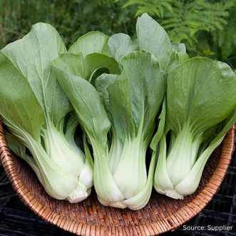 Organic Pak Choi Shanghai Green