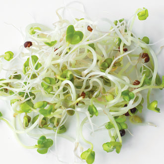 Organic Green Broccoli