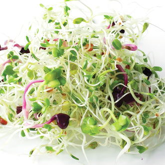 Organic Vita Plus