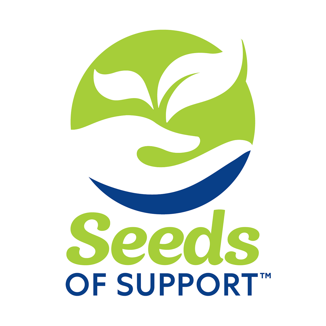 Schools & ECE Kings Seeds NZ