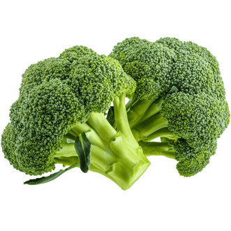 Kings Seeds Vegetables Broccoli Winter Green F1