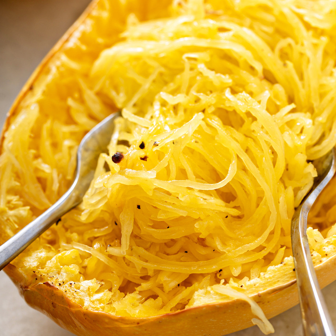 Buy Squash Spaghetti by Kings Seeds online Kings Seeds NZ