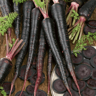Kings Seeds Vegetables Carrot Black Nebula