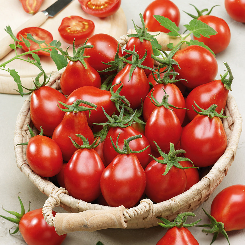 Buy Tomato Red Pear by Kings Seeds NZ online - Kings Seeds NZ