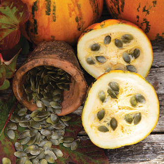 Pumpkin Kakai