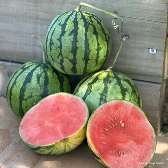 Watermelon Apple F1