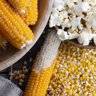 Corn Popcorn F1