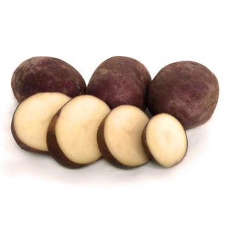 Seed Potato Purple Passion producing deep purple-skinned potatoes with creamy flesh