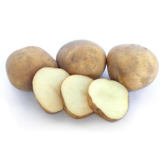 Seed Potato Rocket