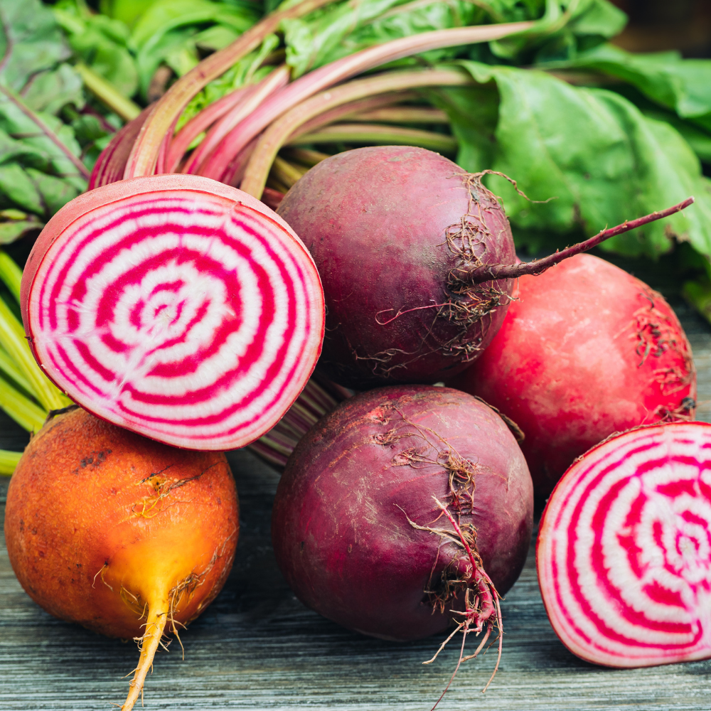 Buy Beetroot Colour Blend by Kings Seeds NZ online - Kings Seeds NZ