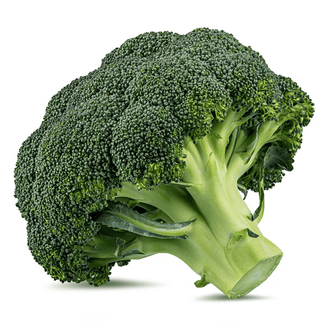 Kings Seeds Organic Organic Broccoli Belstar F1
