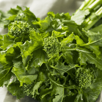 Kings Seeds Organic Organic Broccoli Raab Spring Rapini