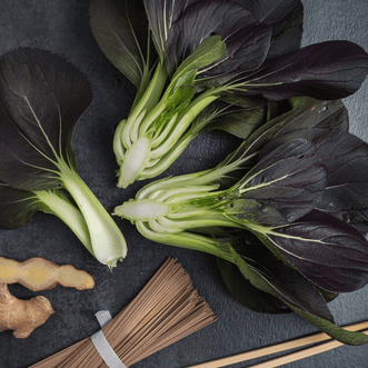 Kings Seeds Organic Organic Pak Choi Red Totem